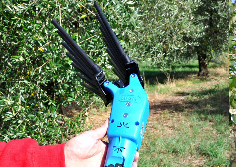 Oliveco Abbacchiatore elettrico