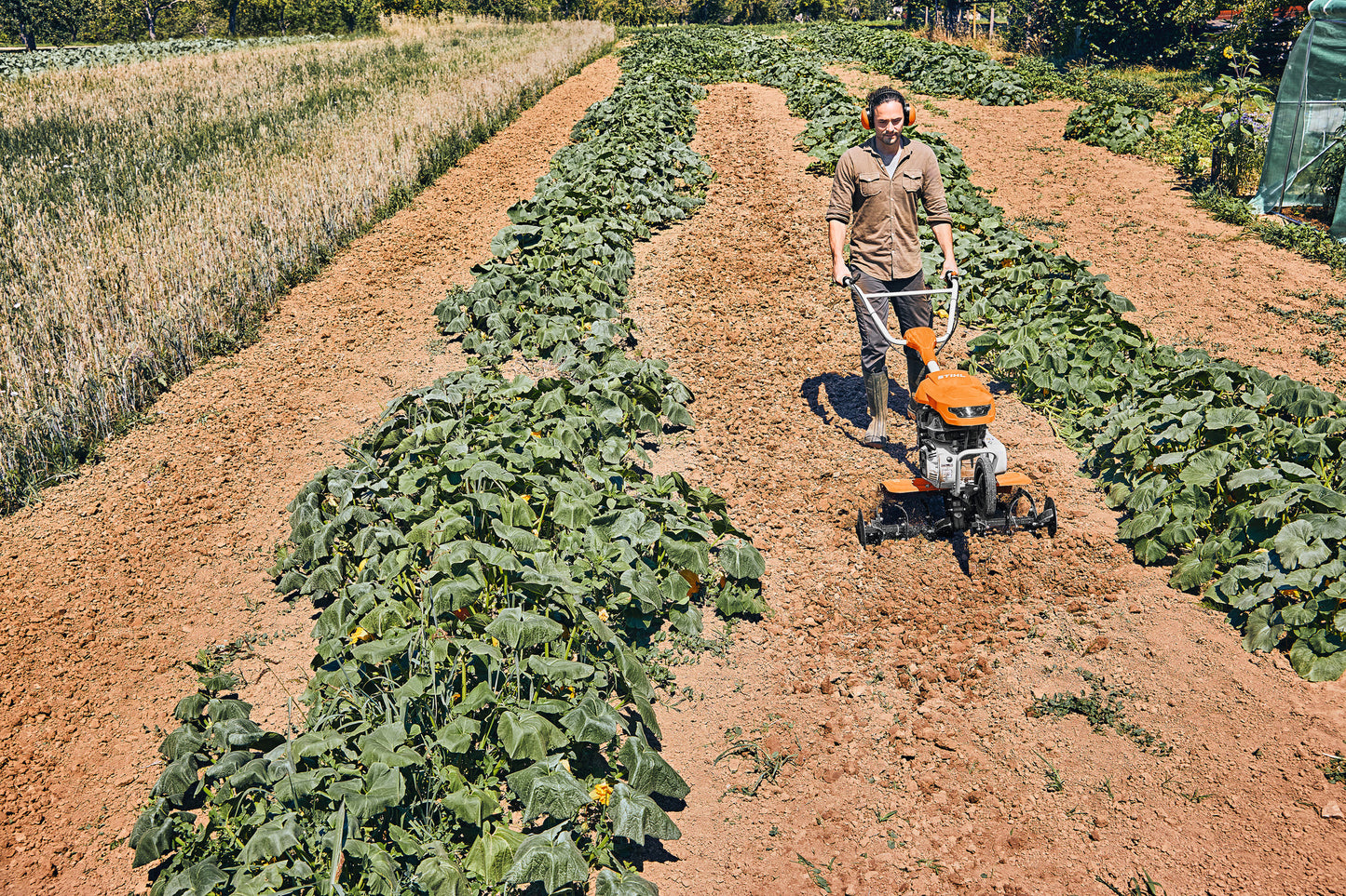Elementi frenanti della motozappa STIHL MH 600