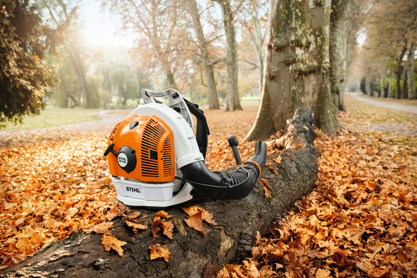 Sistema di trasporto ergonomico del soffiatore STIHL BR 700
