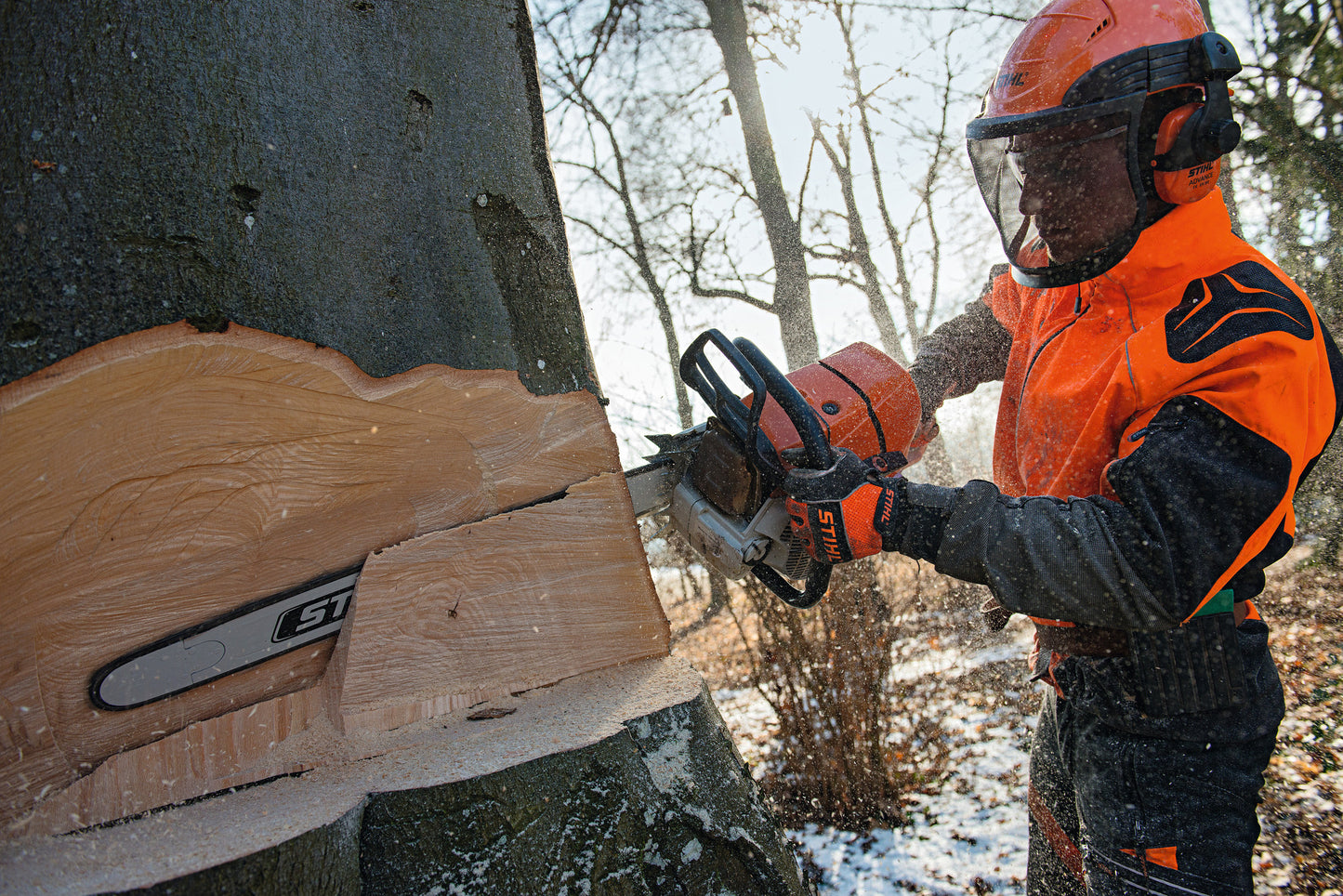 Dettaglio della barra e catena della motosega STIHL MS 661 C-M