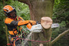 Vista frontale della motosega STIHL MSA 220 TC-O