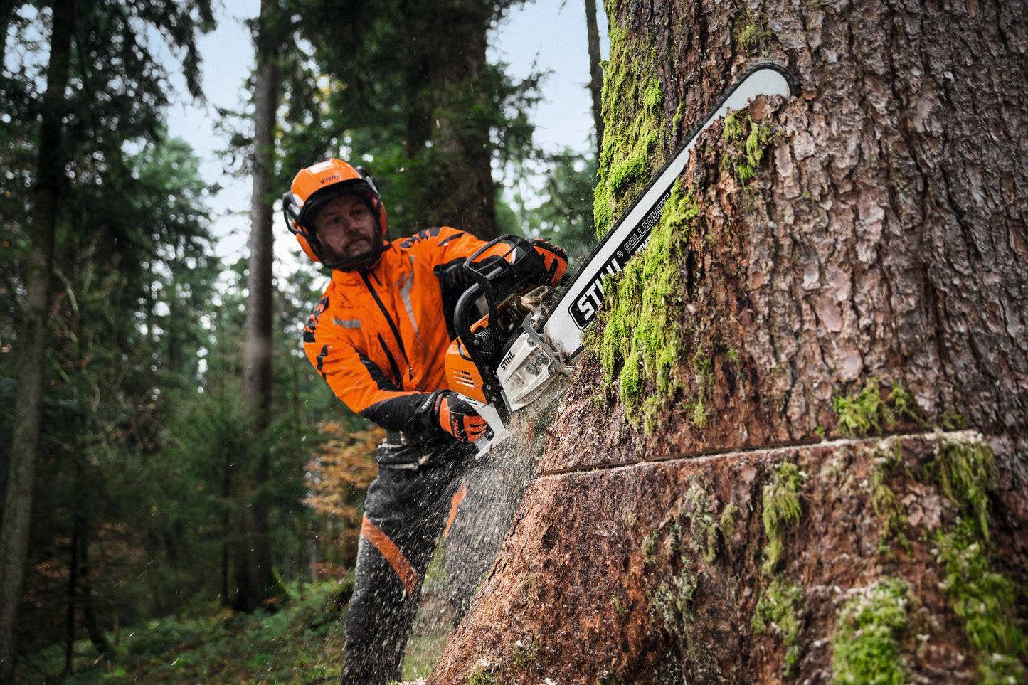 Motore STIHL 2-MIX della motosega MS 500i