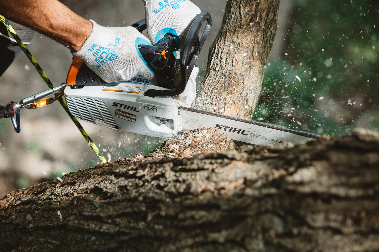 Motore della motosega STIHL MS 194 T