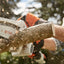 Immagine frontale del potatore STIHL GTA 26