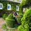 Vista laterale del tagliasiepi STIHL HS 56 CE