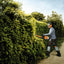 Particolare delle lame del tagliasiepi a scoppio STIHL HS 82 R