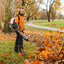Dettaglio del pannello di controllo del soffiatore spalleggiato Stihl BR 450 CEF