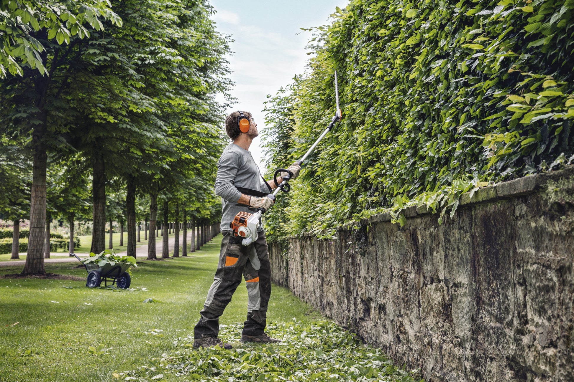 Tagliasiepi allungato STIHL HL 94 CE con lama lunga esposto su fondo bianco