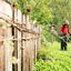 Decespugliatore Stihl FSA 130 in utilizzo su erba alta