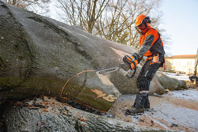 Motosega STIHL MS 661 C-M in posizione di lavoro su tronco