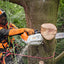 Vista frontale della motosega STIHL MSA 220 TC-O