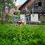 Cesto raccoglierba del tosaerba STIHL RM 655 V
