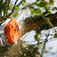 Vista laterale dell'asta telescopica del potatore a batteria STIHL HTA 135