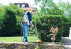 Rifinitore Elettrico FSE 71 di Stihl in utilizzo su piccolo prato
