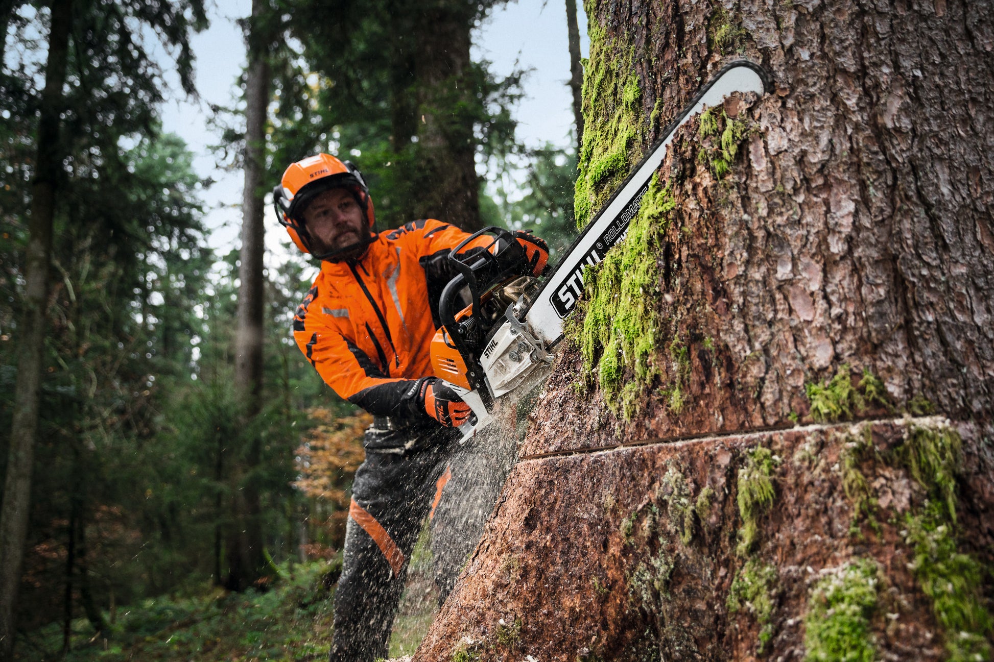 Motore STIHL 2-MIX della motosega MS 500i