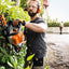 Sistema di filtraggio del tosasiepi Stihl HS 82 T